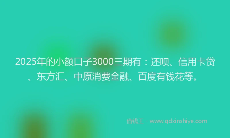 2025年的小额口子3000三期有：还呗、信用卡贷、东方汇、中原消费金融、百度有钱花等。