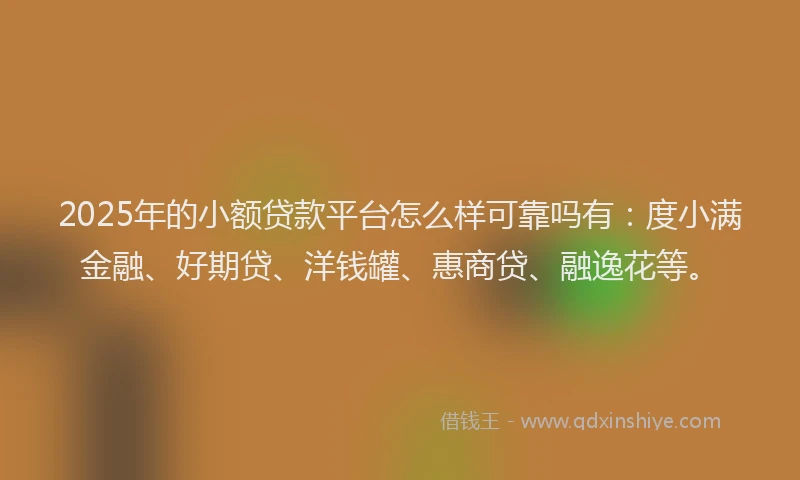 2025年的小额贷款平台怎么样可靠吗有：度小满金融、好期贷、洋钱罐、惠商贷、融逸花等。