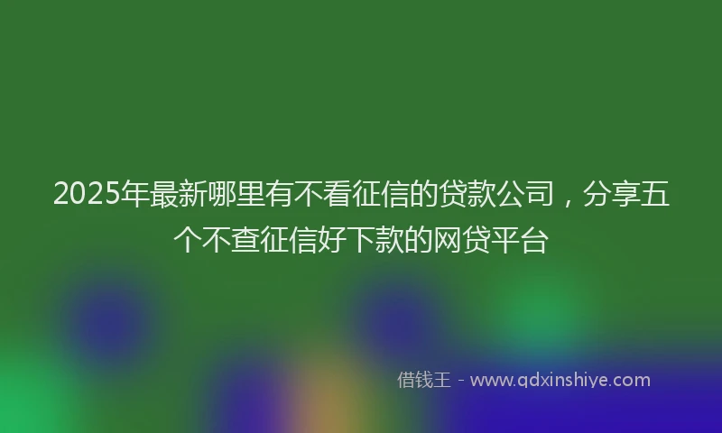 2025年最新哪里有不看征信的贷款公司，分享五个不查征信好下款的网贷平台