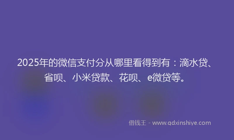 2025年的微信支付分从哪里看得到有：滴水贷、省呗、小米贷款、花呗、e微贷等。
