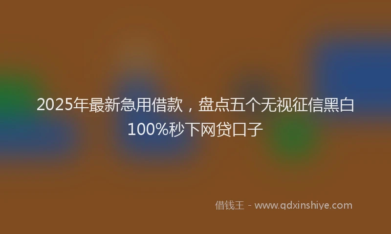 2025年最新急用借款，盘点五个无视征信黑白100%秒下网贷口子
