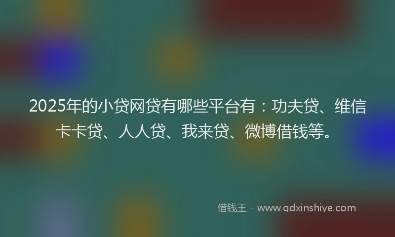 2025年的小贷网贷有哪些平台有：功夫贷、维信卡卡贷、人人贷、我来贷、微博借钱等。