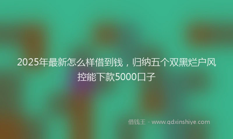 2025年最新怎么样借到钱，归纳五个双黑烂户风控能下款5000口子