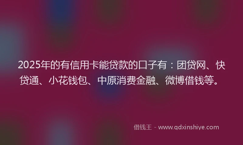 2025年的有信用卡能贷款的口子有：团贷网、快贷通、小花钱包、中原消费金融、微博借钱等。