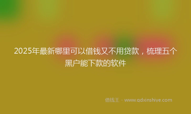 2025年最新哪里可以借钱又不用贷款，梳理五个黑户能下款的软件