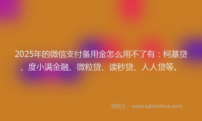 2025年的微信支付备用金怎么用不了有：柯基贷、度小满金融、微粒贷、读秒贷、人人贷等。
