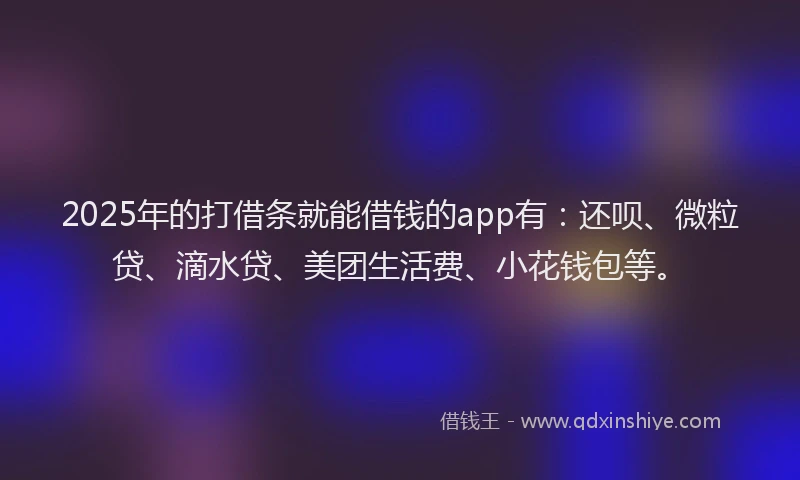 2025年的打借条就能借钱的app有：还呗、微粒贷、滴水贷、美团生活费、小花钱包等。