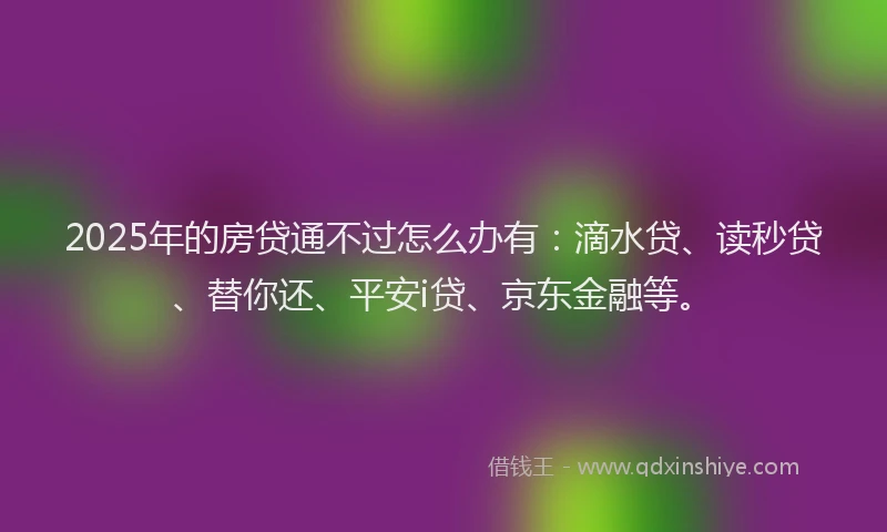 2025年的房贷通不过怎么办有：滴水贷、读秒贷、替你还、平安i贷、京东金融等。