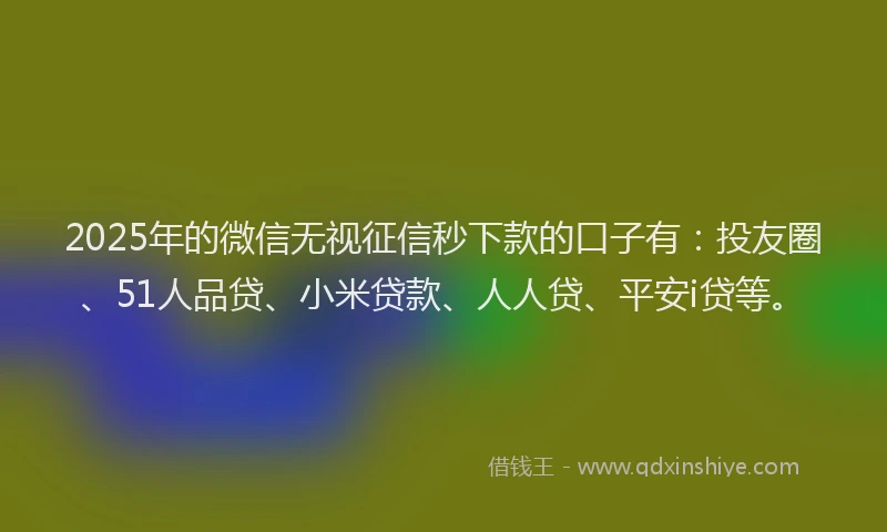 2025年的微信无视征信秒下款的口子有：投友圈、51人品贷、小米贷款、人人贷、平安i贷等。