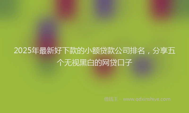 2025年最新好下款的小额贷款公司排名，分享五个无视黑白的网贷口子