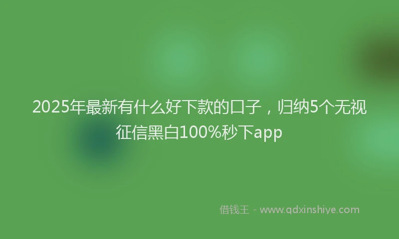 2025年最新有什么好下款的口子，归纳5个无视征信黑白100%秒下app