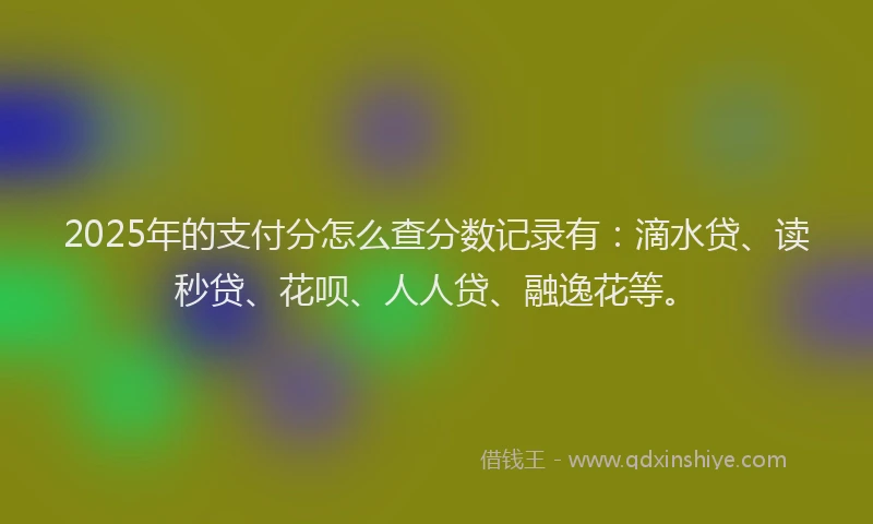 2025年的支付分怎么查分数记录有：滴水贷、读秒贷、花呗、人人贷、融逸花等。