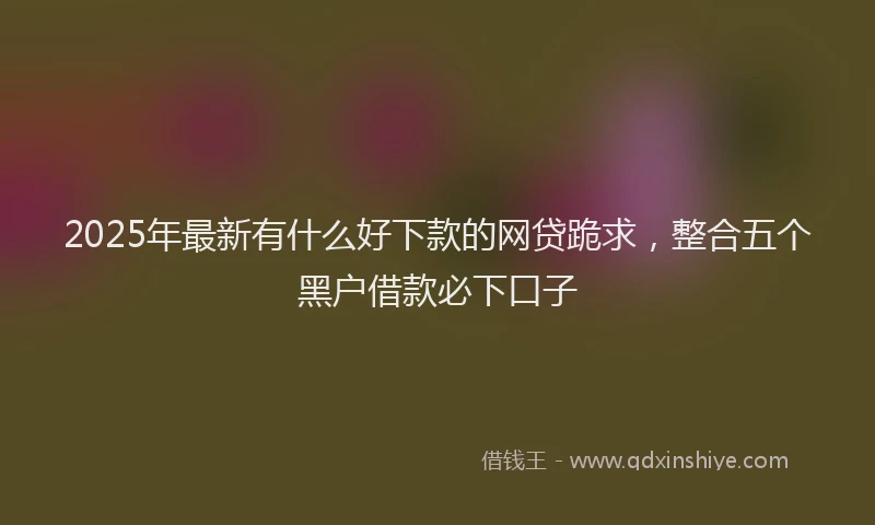 2025年最新有什么好下款的网贷跪求，整合五个黑户借款必下口子