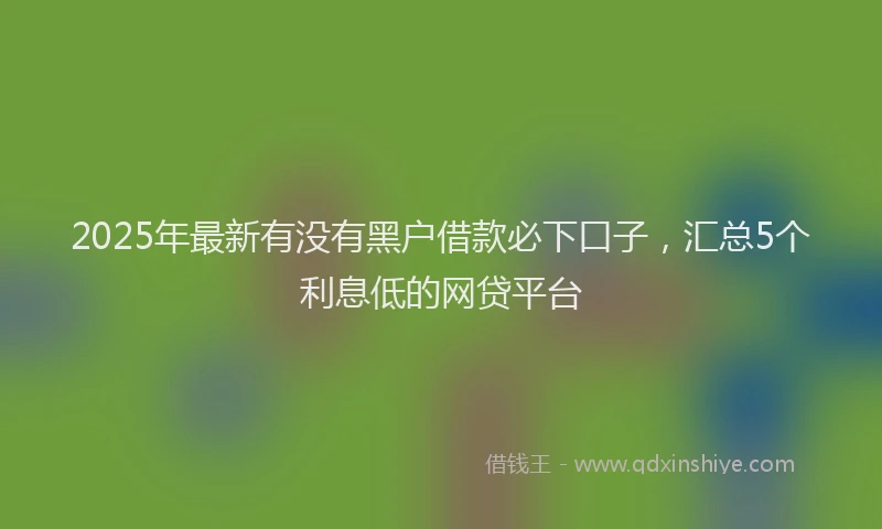 2025年最新有没有黑户借款必下口子，汇总5个利息低的网贷平台