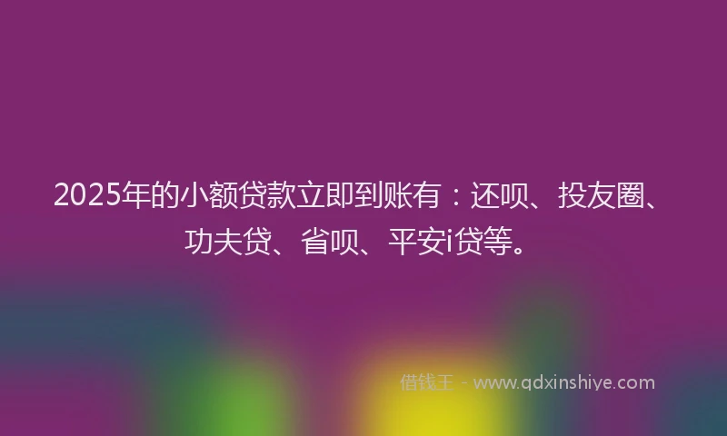 2025年的小额贷款立即到账有：还呗、投友圈、功夫贷、省呗、平安i贷等。