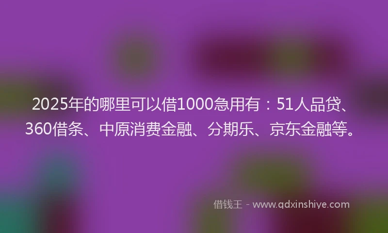 2025年的哪里可以借1000急用有：51人品贷、360借条、中原消费金融、分期乐、京东金融等。