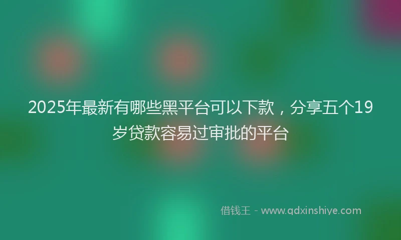 2025年最新有哪些黑平台可以下款，分享五个19岁贷款容易过审批的平台
