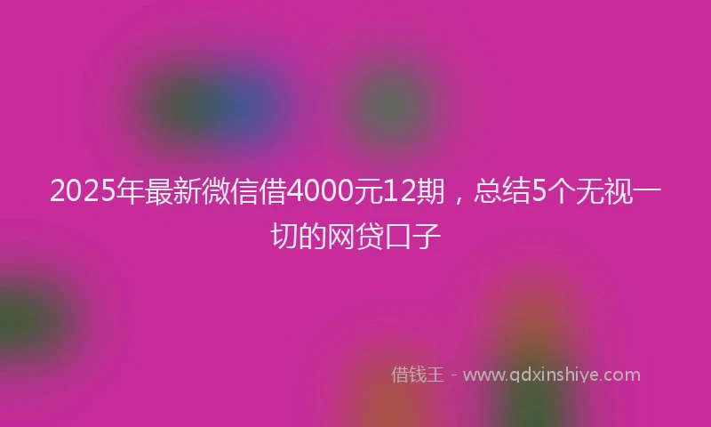 2025年最新微信借4000元12期，总结5个无视一切的网贷口子