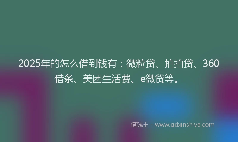 2025年的怎么借到钱有：微粒贷、拍拍贷、360借条、美团生活费、e微贷等。