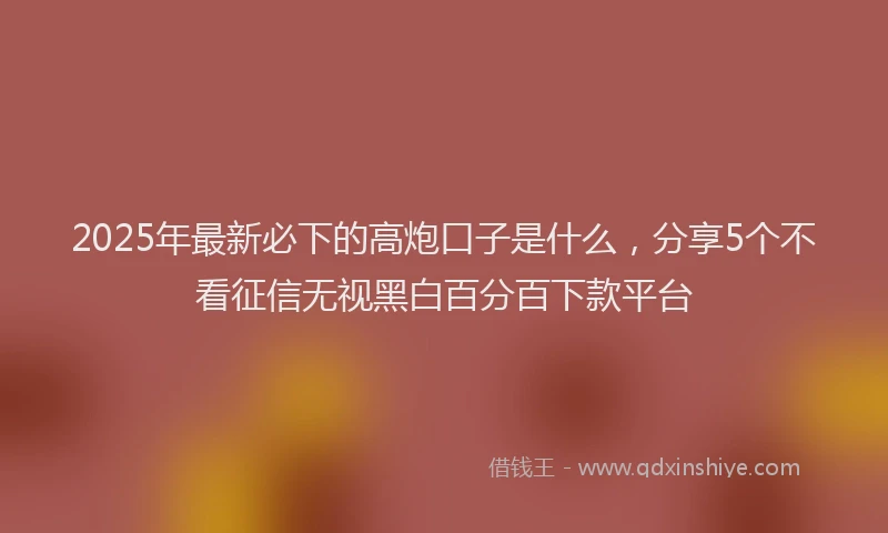 2025年最新必下的高炮口子是什么，分享5个不看征信无视黑白百分百下款平台