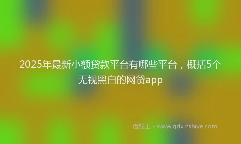 2025年最新小额贷款平台有哪些平台，概括5个无视黑白的网贷app