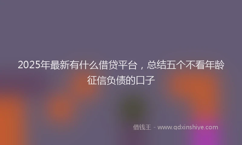 2025年最新有什么借贷平台，总结五个不看年龄征信负债的口子