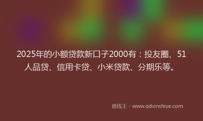 2025年的小额贷款新口子2000有：投友圈、51人品贷、信用卡贷、小米贷款、分期乐等。