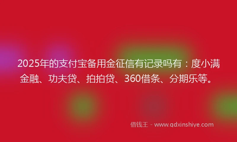 2025年的支付宝备用金征信有记录吗有：度小满金融、功夫贷、拍拍贷、360借条、分期乐等。