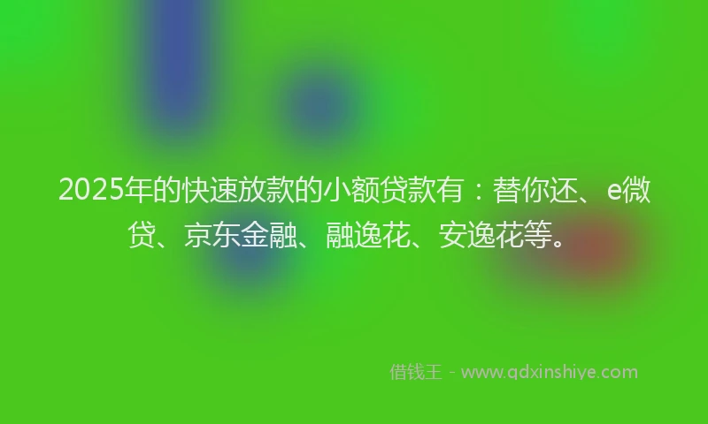 2025年的快速放款的小额贷款有：替你还、e微贷、京东金融、融逸花、安逸花等。