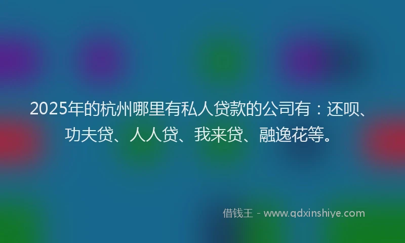2025年的杭州哪里有私人贷款的公司有：还呗、功夫贷、人人贷、我来贷、融逸花等。