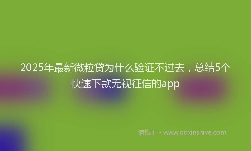 2025年最新微粒贷为什么验证不过去，总结5个快速下款无视征信的app