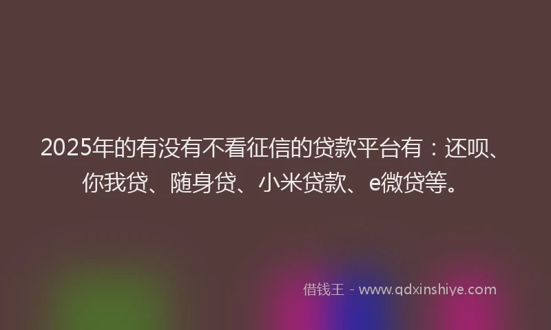 2025年的有没有不看征信的贷款平台有：还呗、你我贷、随身贷、小米贷款、e微贷等。
