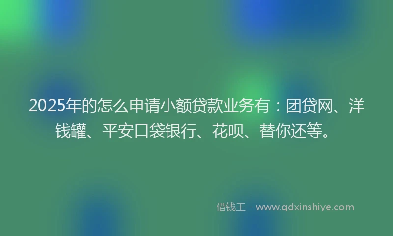 2025年的怎么申请小额贷款业务有：团贷网、洋钱罐、平安口袋银行、花呗、替你还等。