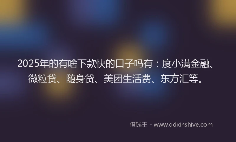 2025年的有啥下款快的口子吗有：度小满金融、微粒贷、随身贷、美团生活费、东方汇等。