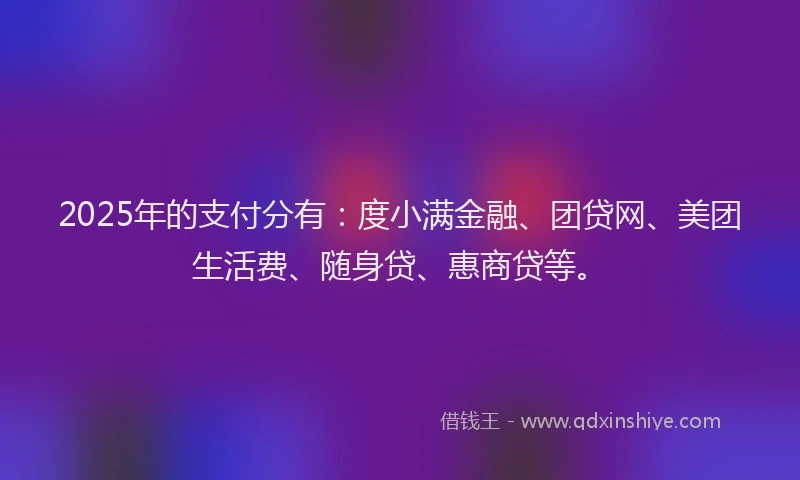 2025年的支付分有：度小满金融、团贷网、美团生活费、随身贷、惠商贷等。