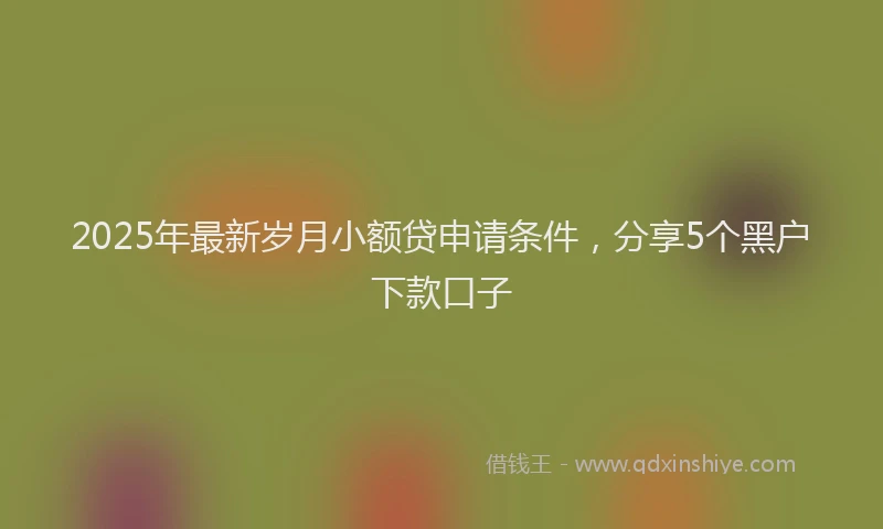 2025年最新岁月小额贷申请条件，分享5个黑户下款口子