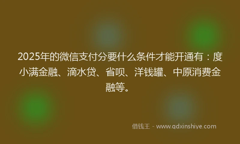 2025年的微信支付分要什么条件才能开通有：度小满金融、滴水贷、省呗、洋钱罐、中原消费金融等。