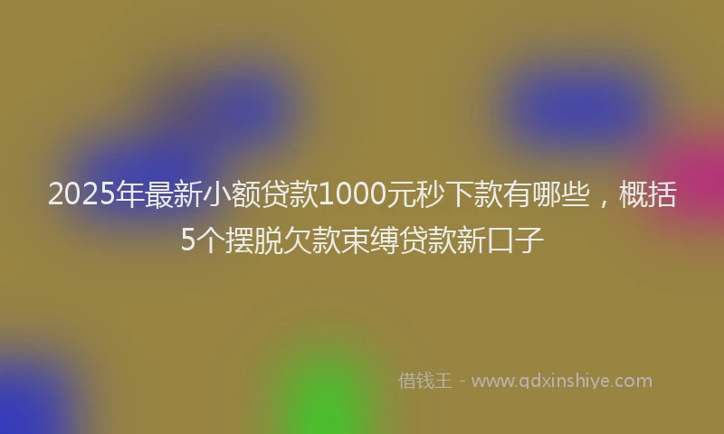 2025年最新小额贷款1000元秒下款有哪些，概括5个摆脱欠款束缚贷款新口子