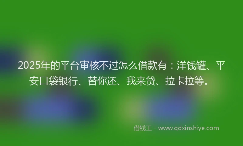 2025年的平台审核不过怎么借款有：洋钱罐、平安口袋银行、替你还、我来贷、拉卡拉等。