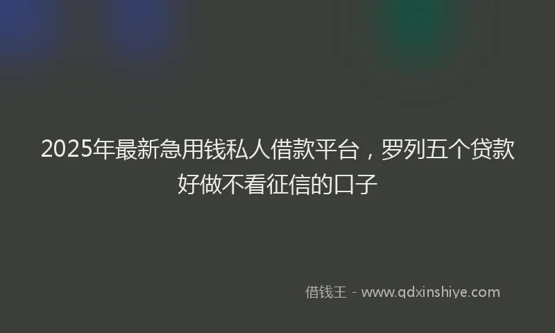 2025年最新急用钱私人借款平台，罗列五个贷款好做不看征信的口子