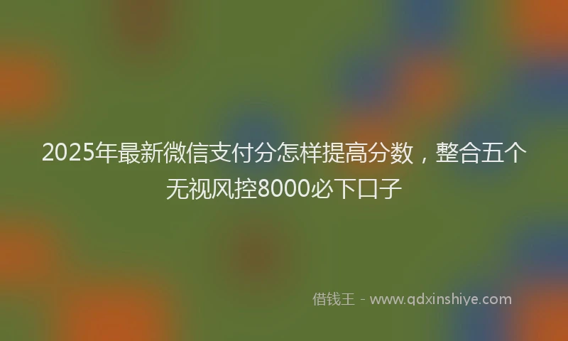 2025年最新微信支付分怎样提高分数，整合五个无视风控8000必下口子