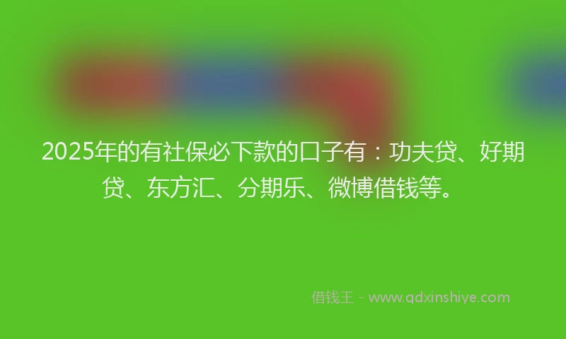 2025年的有社保必下款的口子有：功夫贷、好期贷、东方汇、分期乐、微博借钱等。