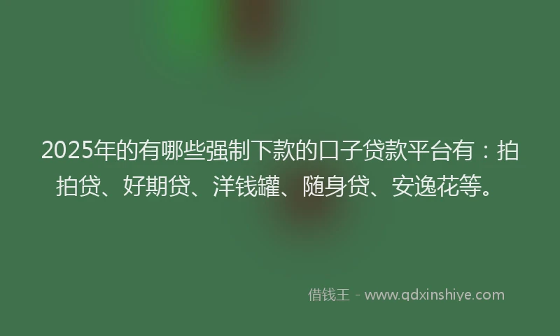 2025年的有哪些强制下款的口子贷款平台有：拍拍贷、好期贷、洋钱罐、随身贷、安逸花等。