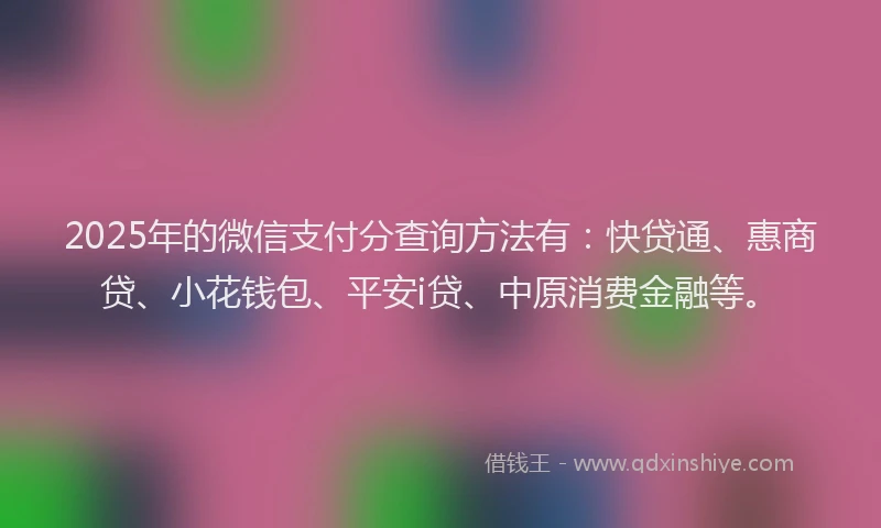 2025年的微信支付分查询方法有：快贷通、惠商贷、小花钱包、平安i贷、中原消费金融等。