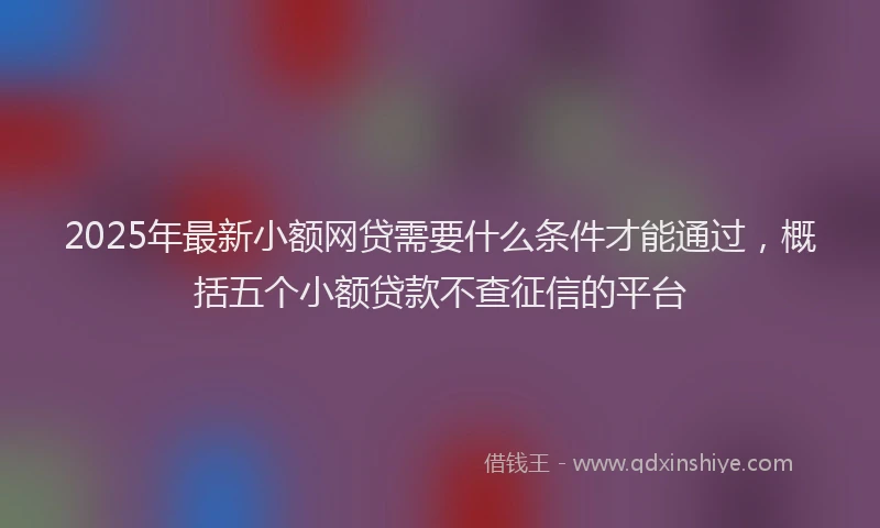 2025年最新小额网贷需要什么条件才能通过，概括五个小额贷款不查征信的平台