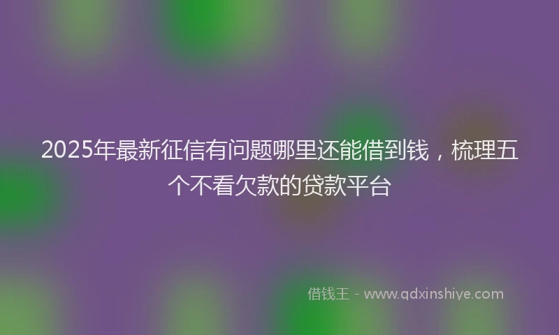 2025年最新征信有问题哪里还能借到钱，梳理五个不看欠款的贷款平台