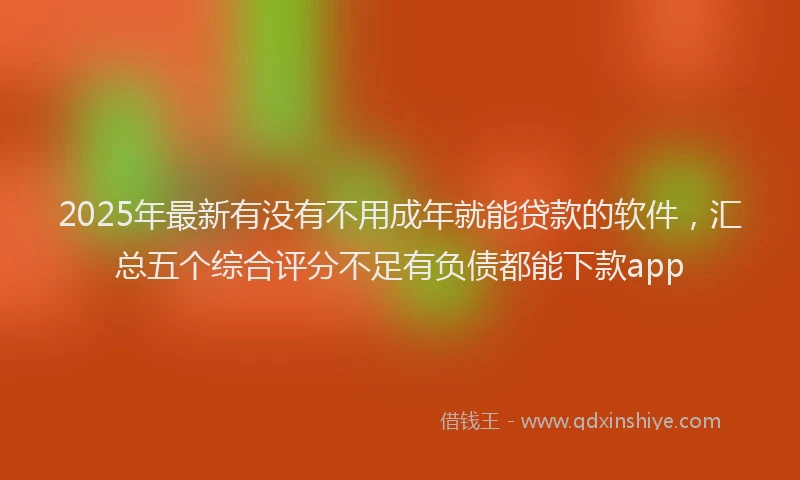 2025年最新有没有不用成年就能贷款的软件，汇总五个综合评分不足有负债都能下款app