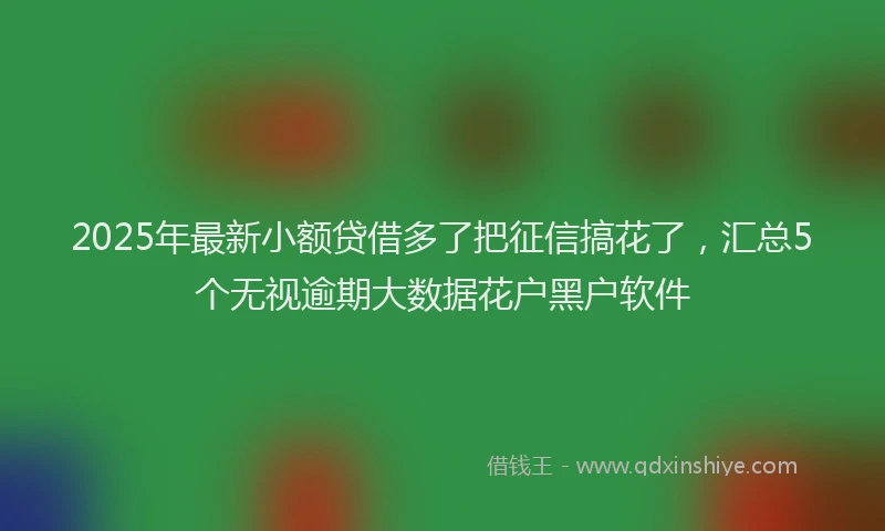 2025年最新小额贷借多了把征信搞花了，汇总5个无视逾期大数据花户黑户软件
