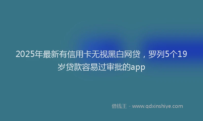 2025年最新有信用卡无视黑白网贷，罗列5个19岁贷款容易过审批的app