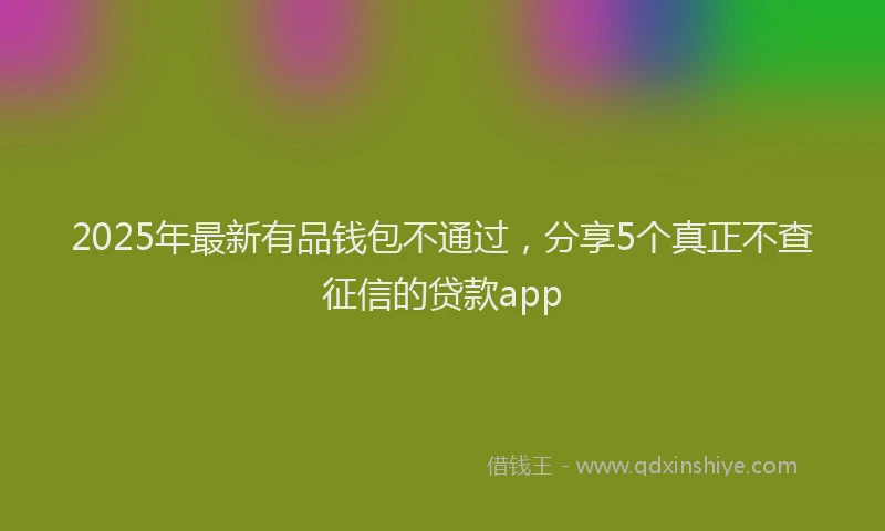 2025年最新有品钱包不通过，分享5个真正不查征信的贷款app